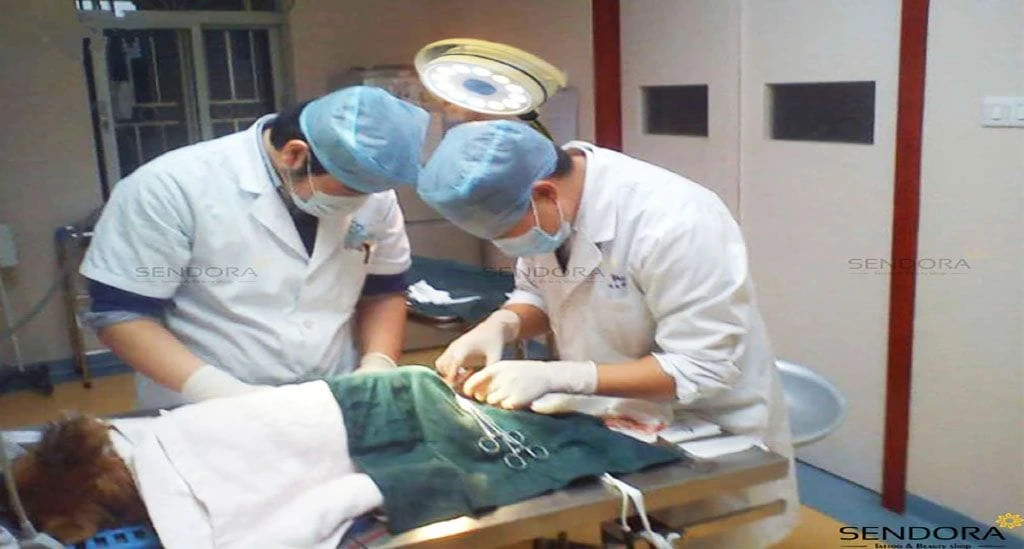 đèn mổ thú y di động tphcm, ship tận nơi toàn quốc