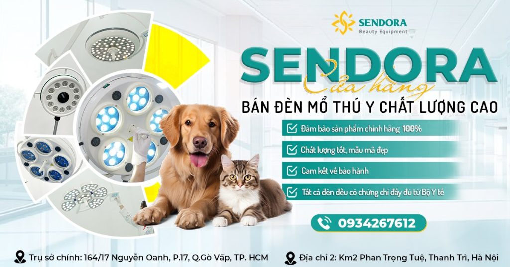 Sendora nơi bán đèn mổ thú y chất lượng giá rẻ tại Gò Vấp, TPHCM, Cần Thơ và Hà Nội