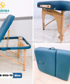 Giường massage gấp gọn Vali Hi-Mec HMBB-8102-70 màu xanh