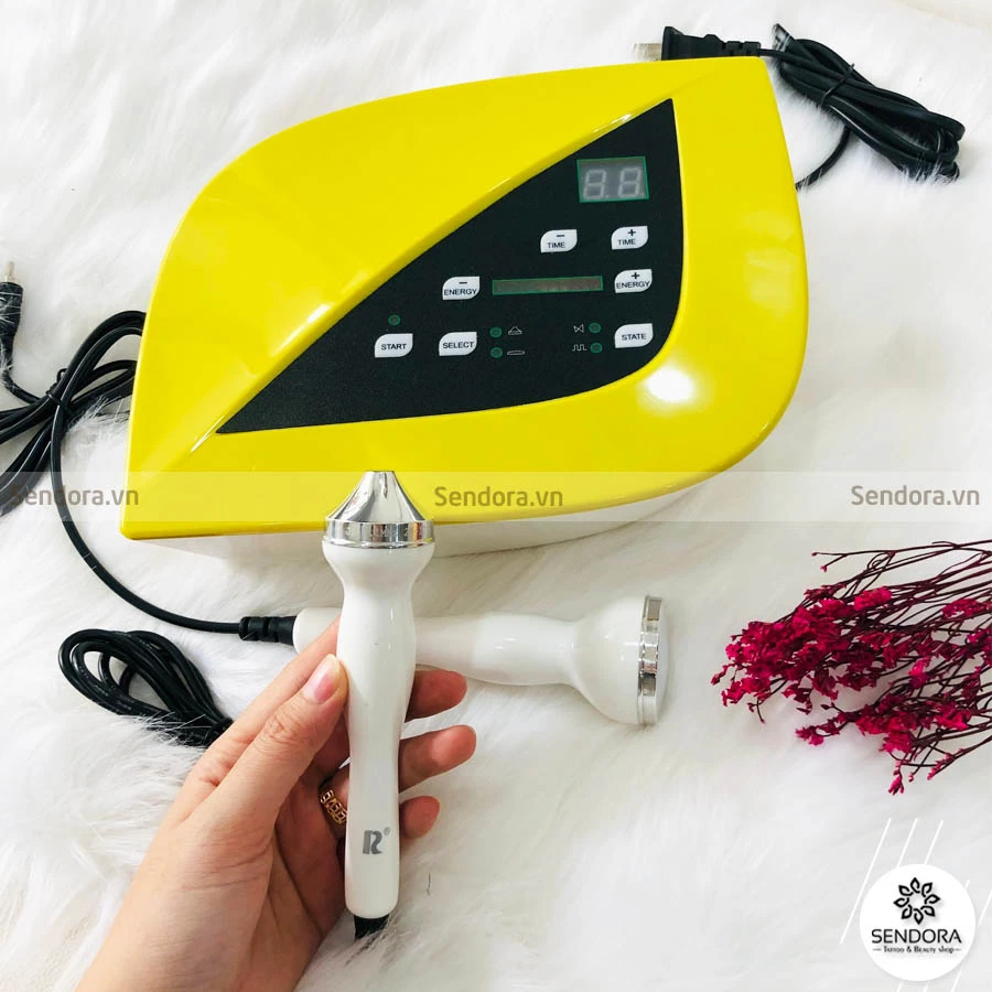 Máy hút chì thải độc tố quả xoài B-627