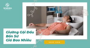 Giường gội đầu bồn sứ giá bao nhiêu