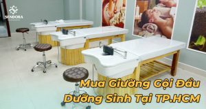 Mua giuong goi dau duong sinh tai TPHCM
