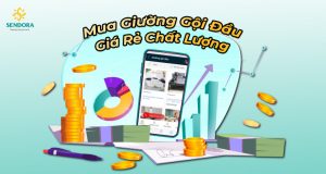 Mua giường gội đầu giá rẻ chất lượng ở đâu