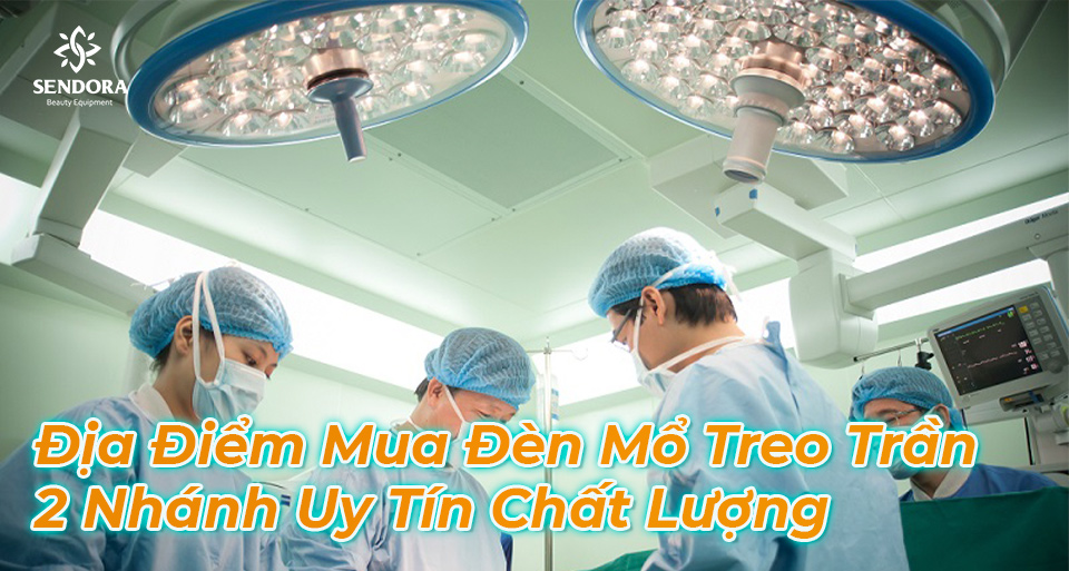 Địa điểm mua đèn mổ treo trần 2 nhánh