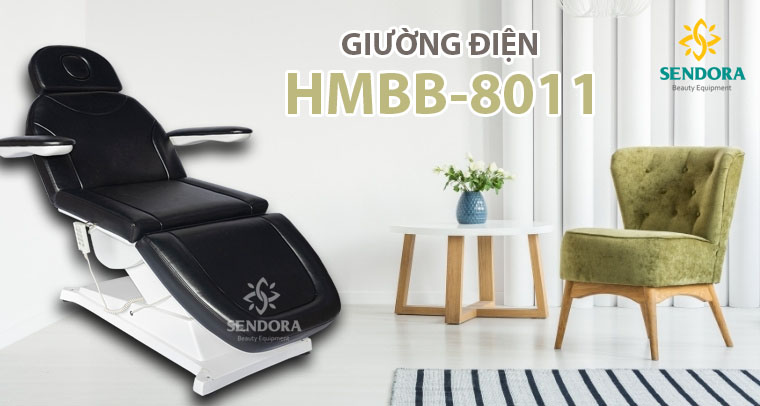 Giường điện phun xăm thẩm mỹ HMBB-8011