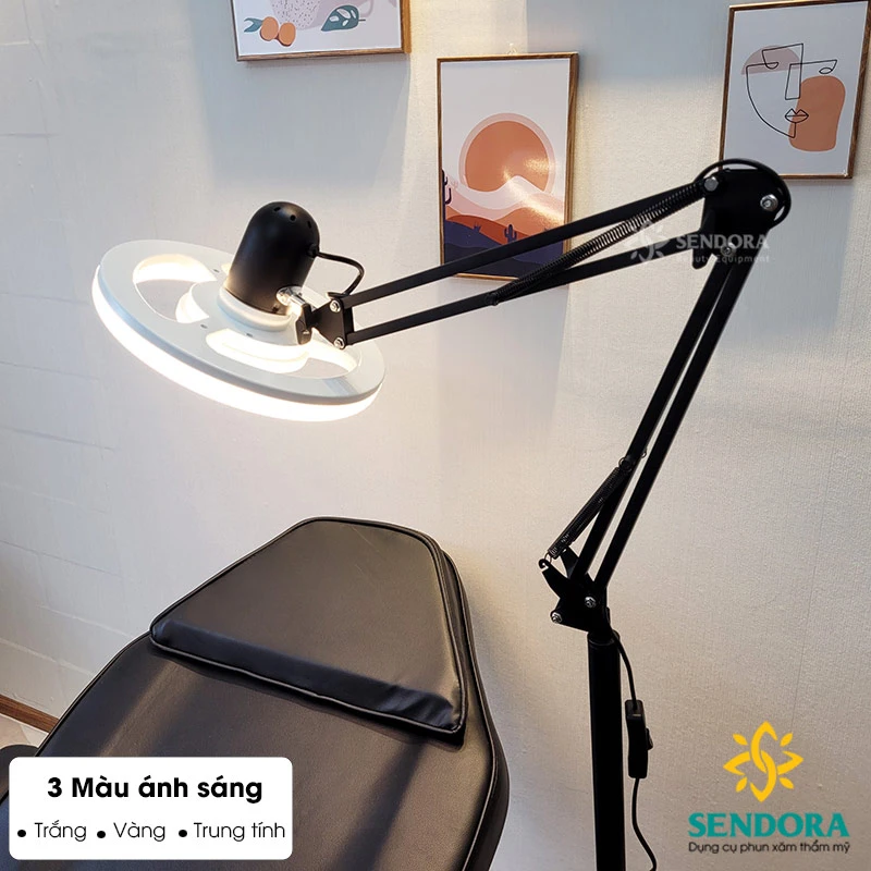 Đèn LED soi da di động trục khuỷu Xoay 360 độ