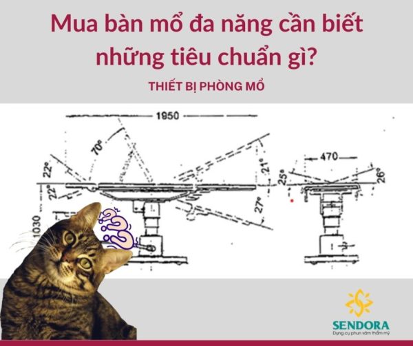Các tiêu chuẩn quốc gia về bàn mổ đa năng mà bạn nên biết 6 Các tiêu chuẩn quốc gia về bàn mổ đa năng mà bạn nên biết?