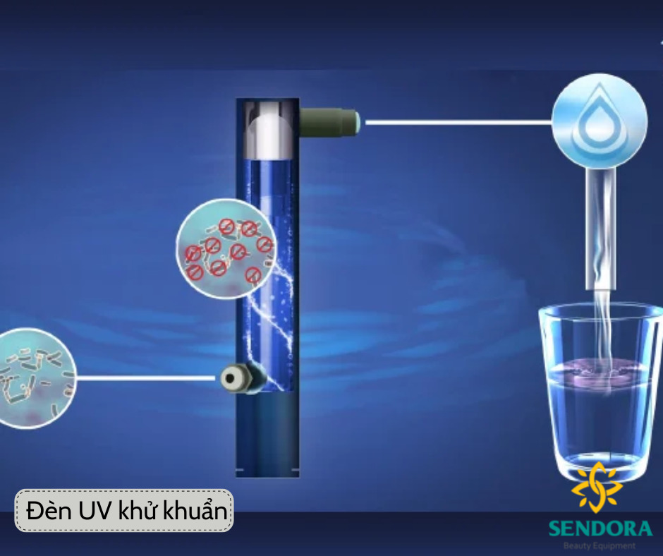 Bồn tiệt trùng sử dụng bộ đèn khử trùng UV, bộ lọc 3 cấp giúp nước tiệt trùng được cung cấp trên 99%