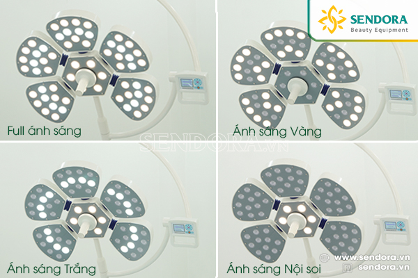 Đèn mổ treo trần 5 cánh hoa PETAL 5, đèn phẫu thuật treo trần