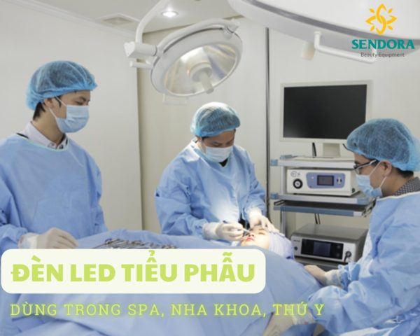 Đèn led tiểu phẫu dùng trong spa, nha khoa, thú y