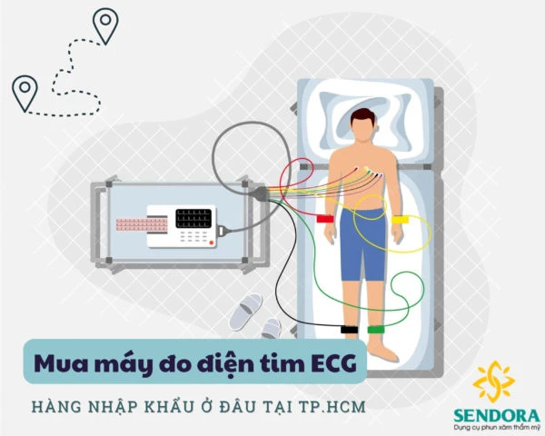 Mua máy đo điện tim ECG hàng nhập khẩu chính hãng ở đâu tại TP.HCM?