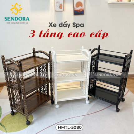 Kệ đựng dụng cụ Spa 3 tầng HMTL-5080