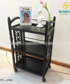 Xe đẩy Spa 3 tầng cao cấp HMTL-5080 13 Kệ đựng dụng cụ Spa 3 tầng HMTL-5080 màu đen