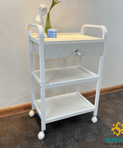 Xe đẩy Spa 3 tầng HTML-5040 cao cấp