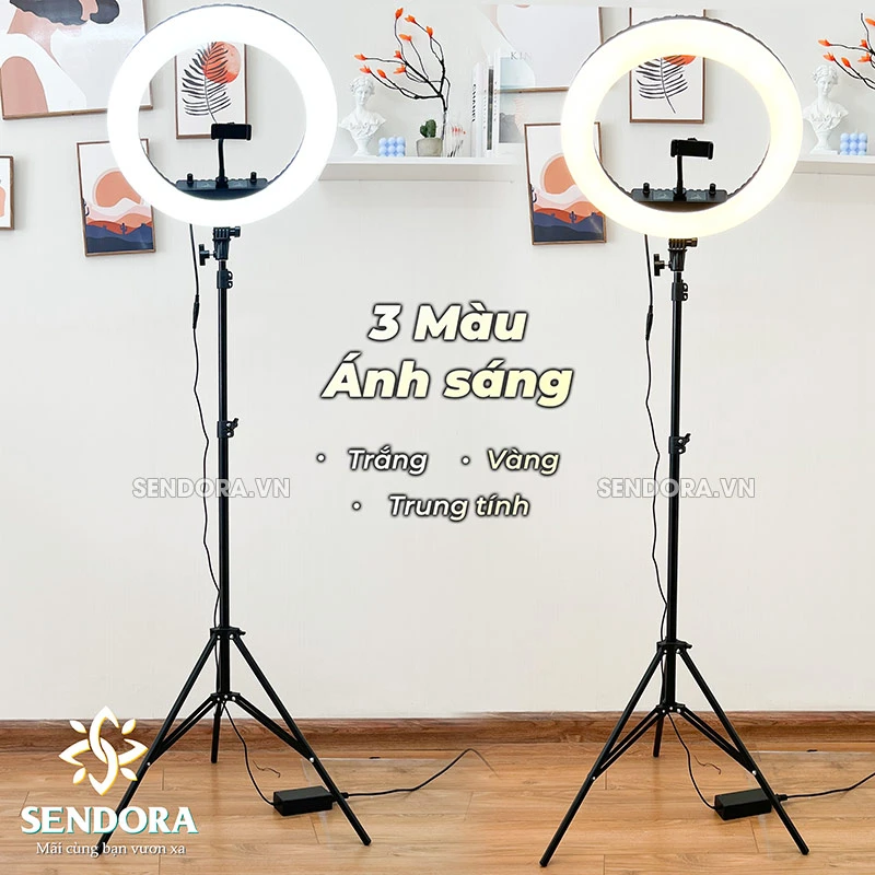 Đèn Led phun xăm Led ring Hq-18 được trang bị 3 màu 