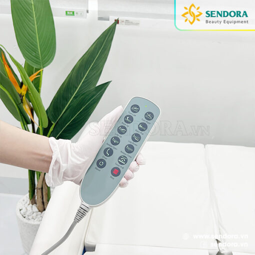 Giường y tế, giường hồi sức cấp cứu ICU chỉnh điện Hi-MEC HMNB-2030 11 Remote điều khiển các tư thế của giường