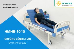 Giường bệnh nhân đa năng chỉnh cơ HMHB-1010