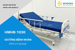 Giường bệnh nhân đa năng chỉnh cơ HMHB-1030