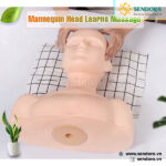 Đầu manocanh massage giúp học viên dễ thực hành, thao tác