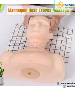 Đầu manocanh massage giúp học viên dễ thực hành, thao tác