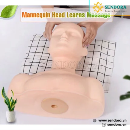 Đầu manocanh massage giúp học viên dễ thực hành, thao tác