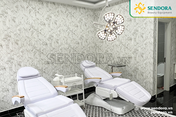 Combo giường phẫu thuật thẩm mỹ và đèn treo trần 5 cánh hoa Hi-MEC