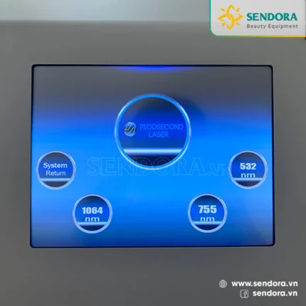 Giao diện màn hình lựa chọn chế độ xóa xăm