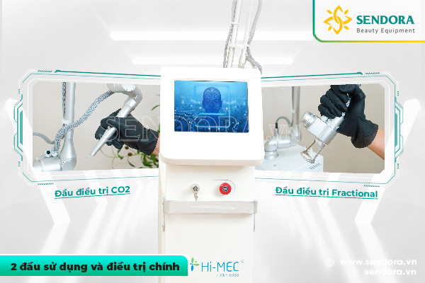 Máy laser CO2 Fractional Hi-MEC HMRF-8060