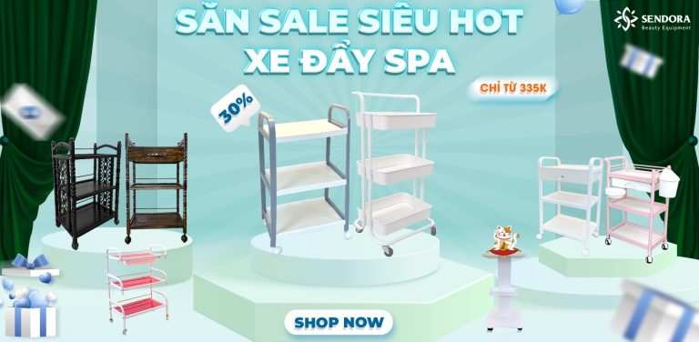 xe day spa giam gia tha ga