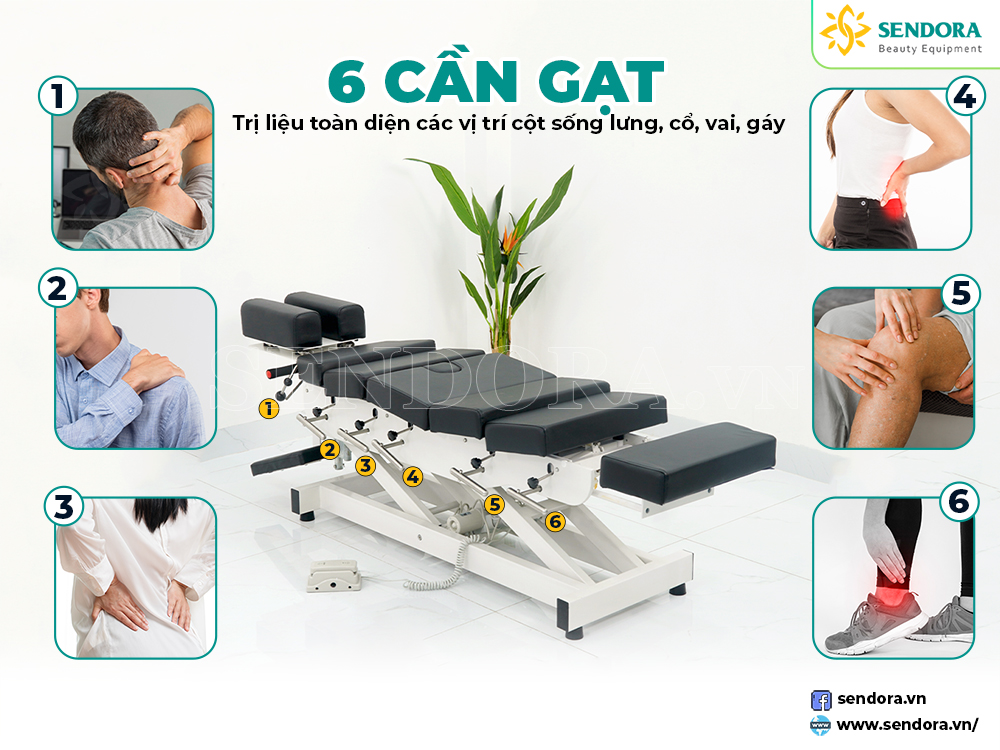 6 cần gạt cửa giường vật lý trị liệu Herab-2060 có gì?