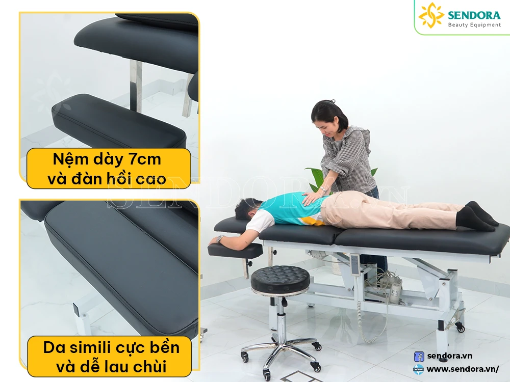Giường Massage Trị Liệu Treatment Table Chỉnh Điện 2 Động Cơ Herab-1020