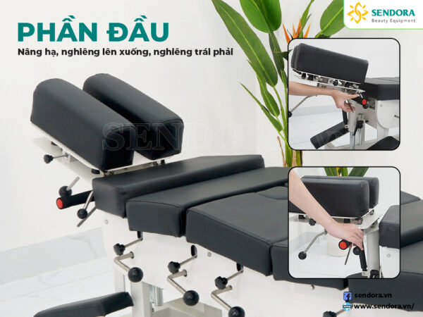 Giường vật lý trị liệu nắn chỉnh cột sống Chiropractic 6 cần gạt - Chỉnh cơ HERAB-2030 22 Phần đầu có thể điều chỉnh nâng hạ, nghiêng trái phải, lên xuống
