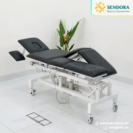 Giường Massage Trị Liệu Treatment Table Chỉnh Điện 2 Động Cơ Herab-1020