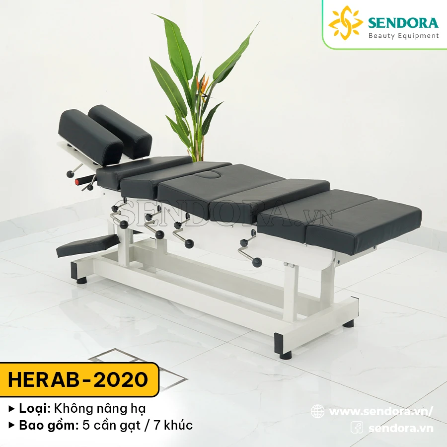 Giường Chiropractic Trị Liệu Cột Sống Tại Cần Thơ 14 Giường chiropractic nắn chỉnh cột sống