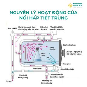 Nguyên lý hoạt động của nồi hấp tiệt trùng