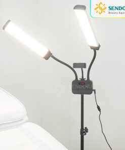 Đèn phun xăm chính hãng, Đèn phun xăm 2 nhánh 45W CD-AX45