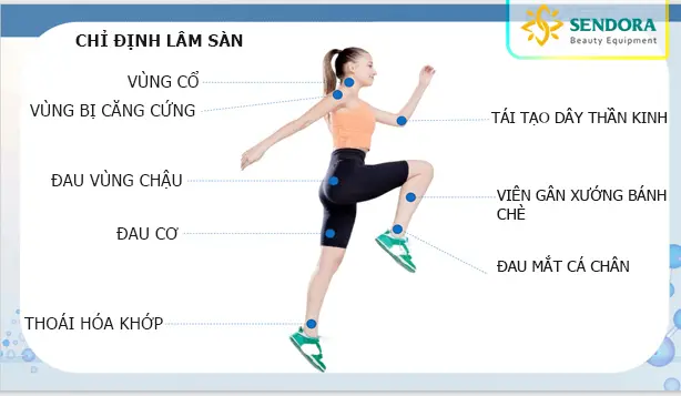 Chỉ định lâm sàn đối với dòng máy từ trường siêu dẫn PMST Max