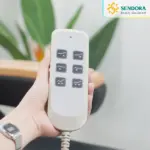 Remote giường phun xăm chỉnh điện 3 động cơ