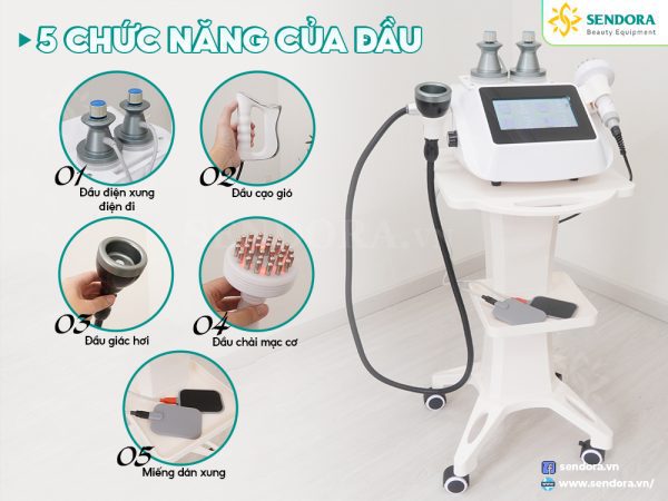 Máy điện sinh học DDS 5in1 với nhiều đầu chức năng