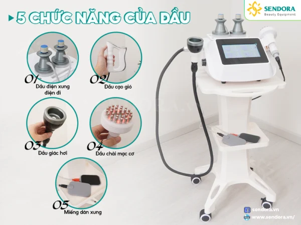 Máy điện sinh học DDS 5in1 với nhiều đầu chức năng