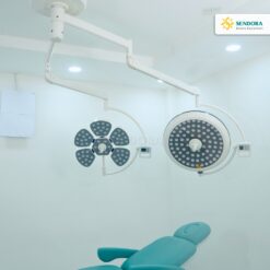 Đèn phẫu thuật Full Led bóng đôi Petal/LED700 treo trần 6 Đèn phẫu thuật Full Led bóng đôi Petal/LED700 treo trần