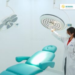 Đèn phẫu thuật Full Led bóng đôi Petal/LED700 treo trần 8 Đèn phẫu thuật Full Led bóng đôi Petal/LED700 treo trần