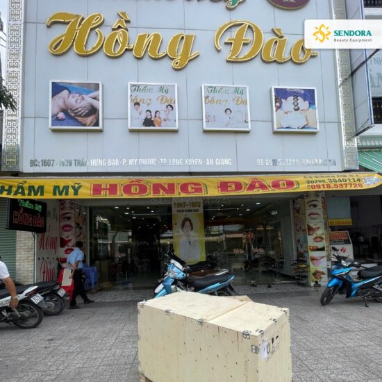 Bàn giao giường phẫu điện, đèn treo trần petal 6