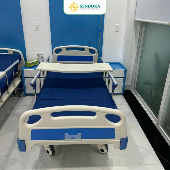 Giường y tế 1 chức năng chỉnh điện HM-EB01